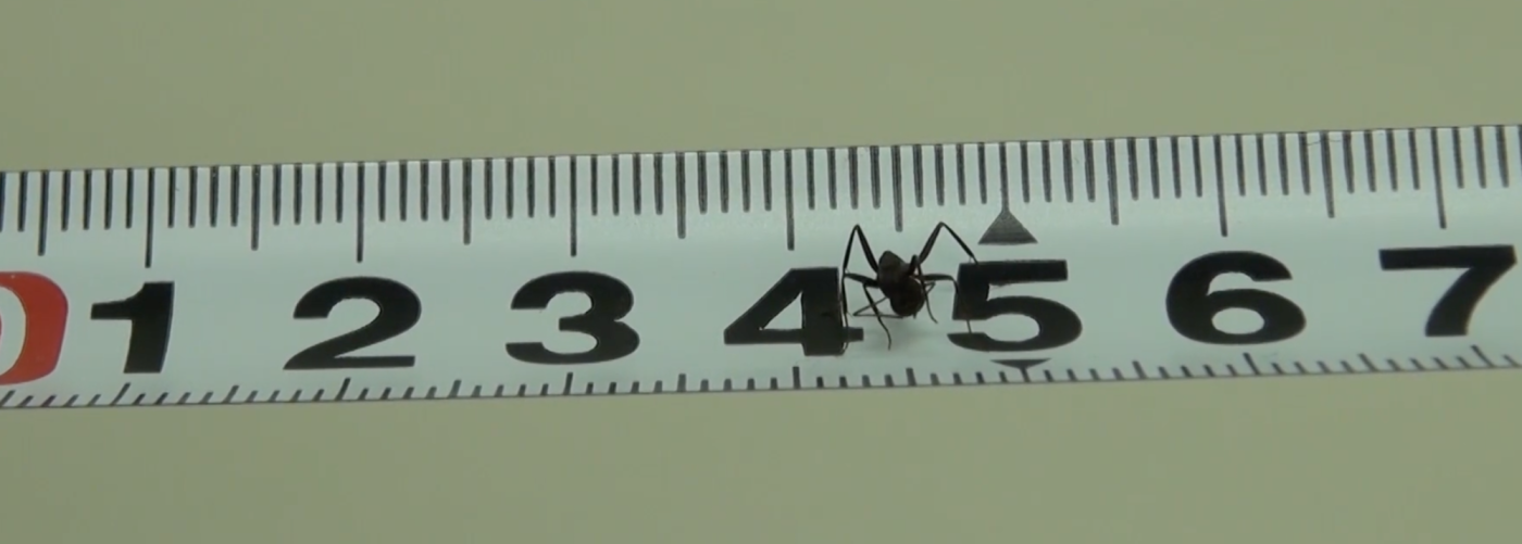 bildschirmfoto-2026-02-13-um-22.22.01