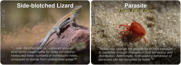 bildschirmfoto-2026-02-13-um-22.18.05