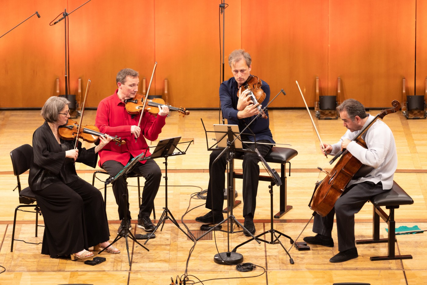 sperling-kuss-quartett-mit-terra-memoria-fotojorn-neumann